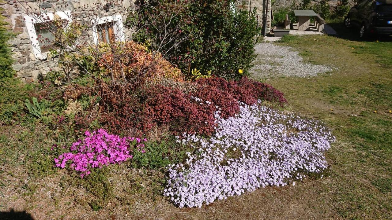 Villa Casa Delle Rose à Teglio Extérieur photo