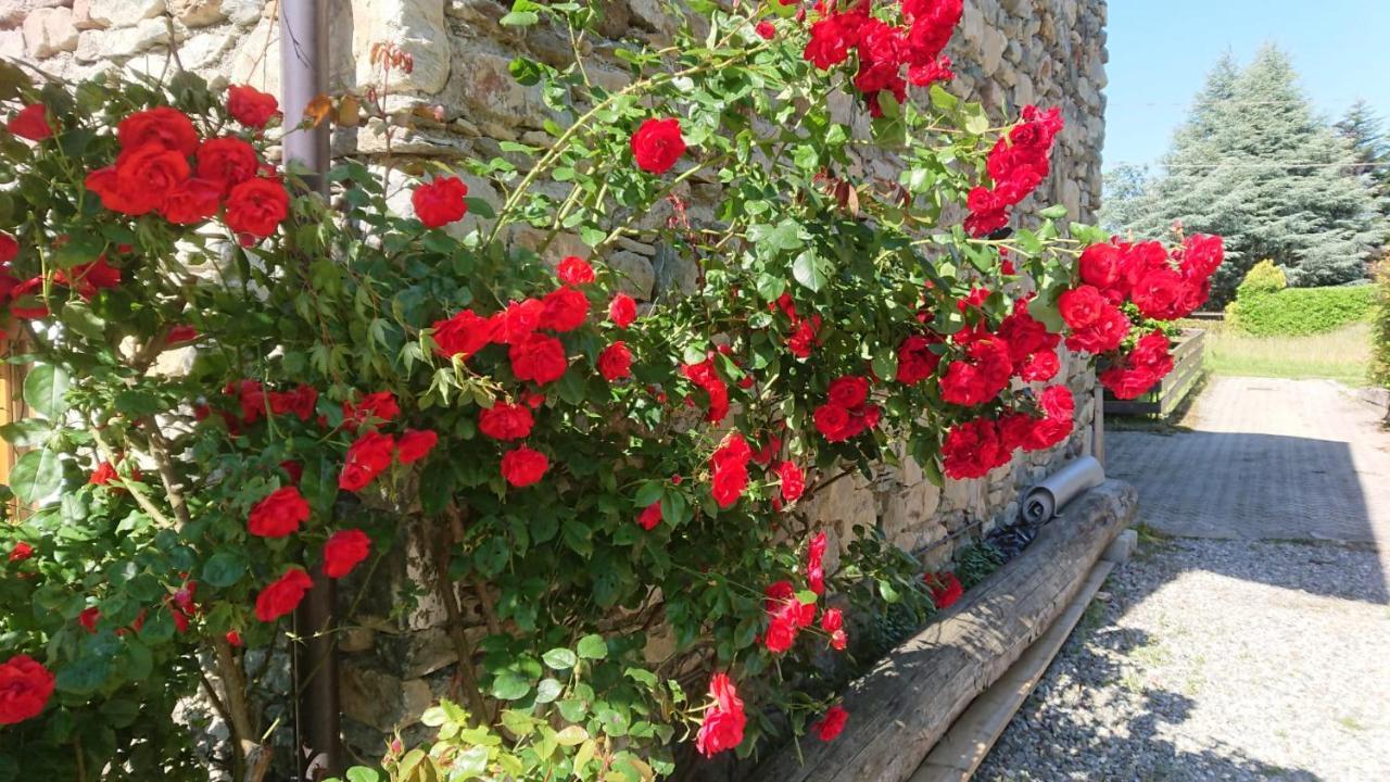 Villa Casa Delle Rose à Teglio Extérieur photo