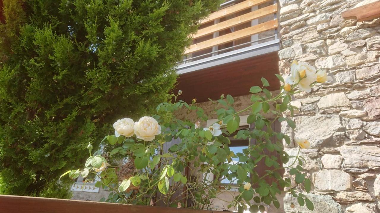 Villa Casa Delle Rose à Teglio Extérieur photo