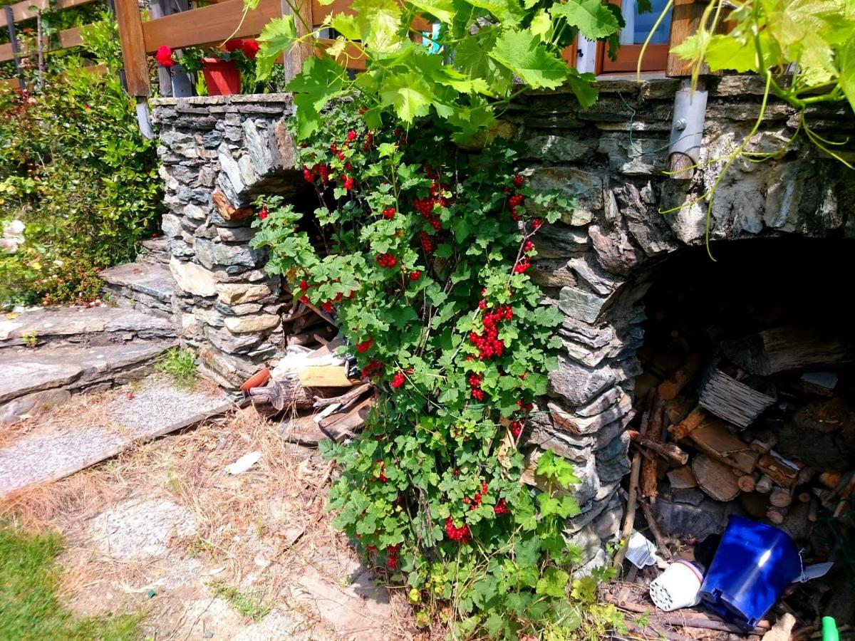 Villa Casa Delle Rose à Teglio Extérieur photo